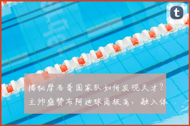 揭秘摩洛哥国家队如何发现天才?主帅盛赞布阿迪球商极高,融入体系迅速